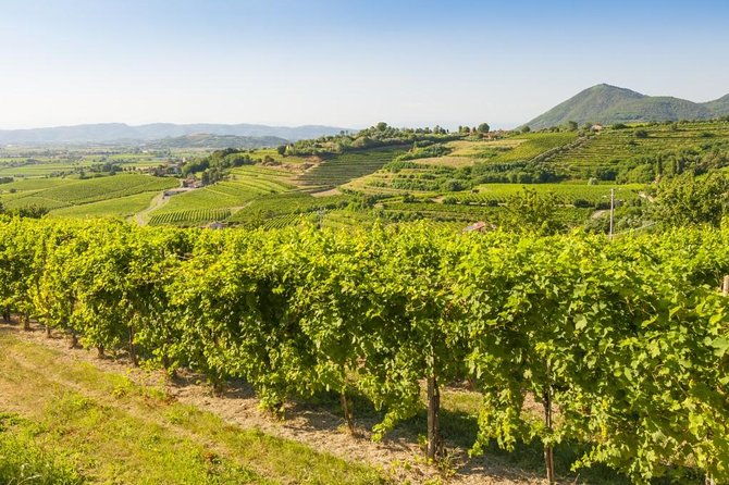 2-guests-private-prosecco-road-tour-all-inclusive-from-conegliano