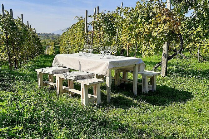 2 Guests Private Prosecco Road Tour All Inclusive from Venice - The Itinerary — A Closer Look