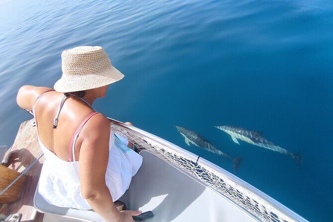 2 h Estepona Bay Tour - Exploring the 2-Hour Estepona Bay Tour in Detail