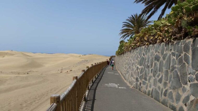 2-h-sunset-or-morning-segway-experience-near-by-sand-dunes