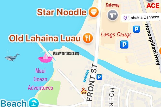 2-hour-afternoon-lahaina-whale-watch