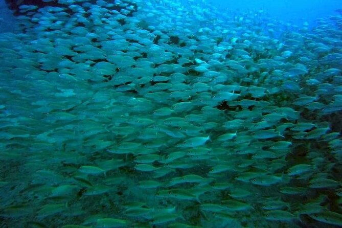 2-hour-afternoon-snorkeling-experience-in-gran-canaria-by-boat