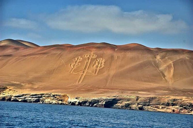 2-hour-ballestas-islands-tour-by-modern-boat