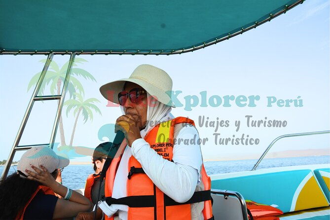 2-hour-ballestas-islands-tour-by-modern-boat