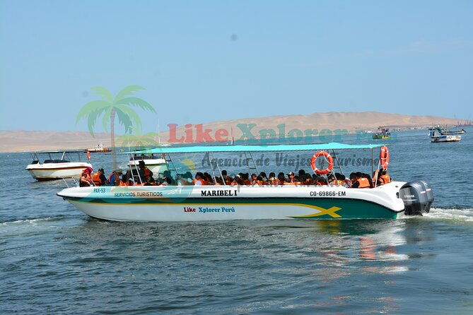 2-hour-ballestas-islands-tour-by-modern-boat
