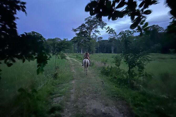 2-hour-beach-horse-back-riding-in-puerto-viejo