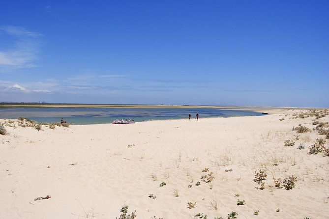 2-hour-bird-watching-guided-boat-trip-in-ria-formosa-from-faro-algarve