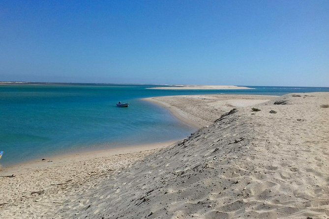 2-hour-bird-watching-guided-boat-trip-in-ria-formosa-from-faro-algarve
