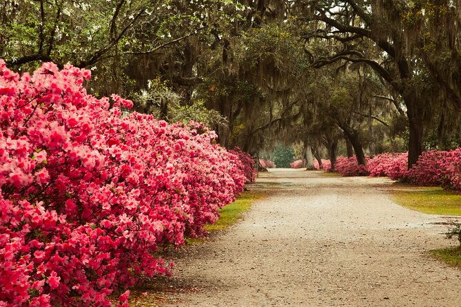 2-hour-bonaventure-cemetery-walking-tour