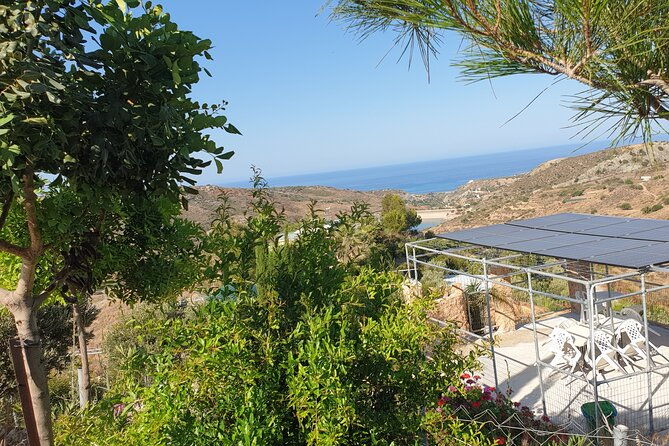 2-hour-botanic-garden-tour-in-akoursos
