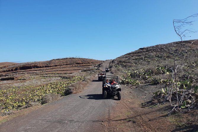 2-hour Buggy Tour from Costa Teguise - Final Words