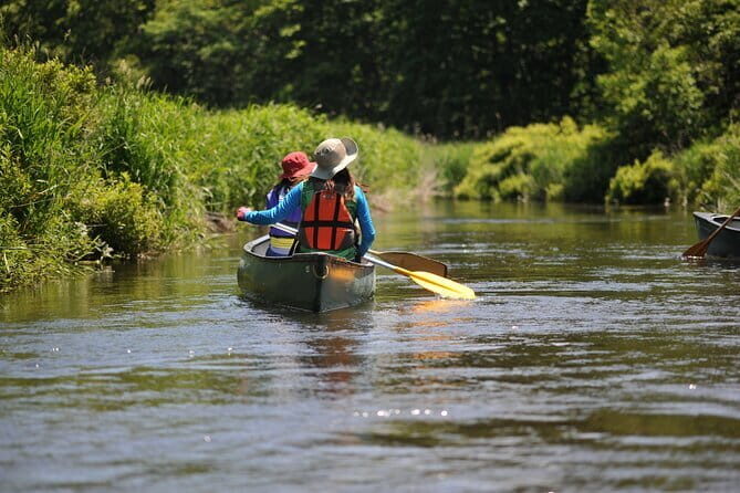 2 Hour Canoe on the Bibi River - Who Will Love This Tour?