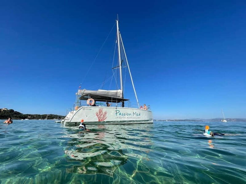 2-hour catamaran discovery tour of the Giens Peninsula and Porquerolles - What You Can Expect from the 2-Hour Catamaran Tour