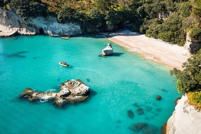 2 Hour Cathedral Cove and Volcanic Coast Cruise with Shade Canopy - What Sets This Tour Apart