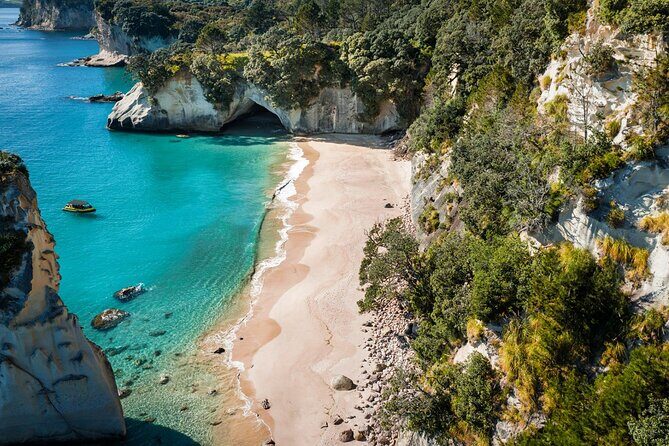 2 Hour Cathedral Cove and Volcanic Coast Cruise with Shade Canopy - Practical Tips for Guests