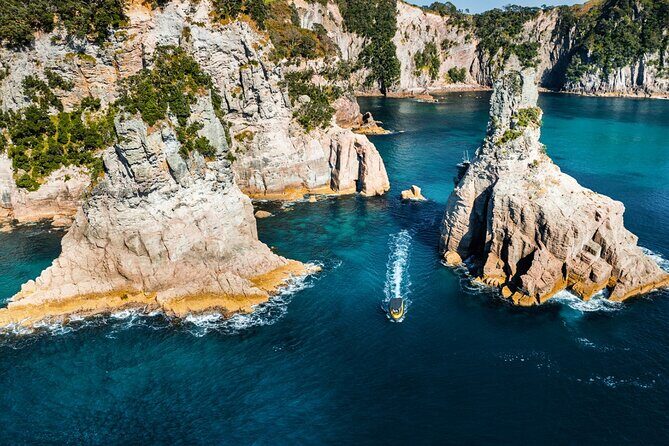 2 Hour Cathedral Cove and Volcanic Coast Cruise with Shade Canopy - Who Should Book This Tour?