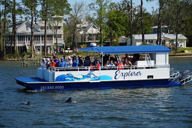 2-Hour Dolphin and Nature Eco Tour from Orange Beach - Discovering Orange Beach’s Marine Life with a 2-Hour Dolphin and Nature Eco Tour
