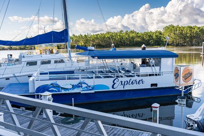 2-Hour Dolphin and Nature Eco Tour from Orange Beach - Why This Tour Stands Out