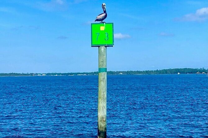 2-Hour Dolphin and Nature Eco Tour from Orange Beach - FAQs