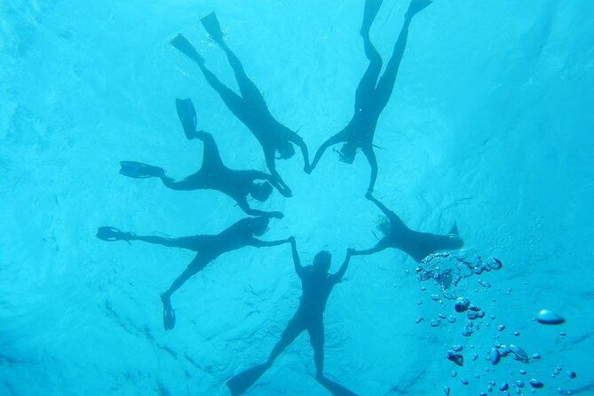 2-hour-dolphin-watching-and-double-reef-with-snorkel-in-hawaii