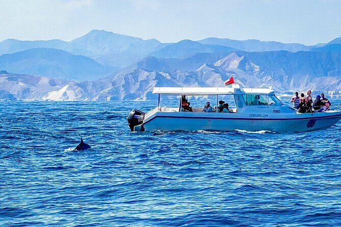 2 Hour Dolphin Watching Experience in Muscat - Reviews and Authentic Insights