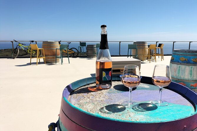 2-hour-e-bike-tour-with-wine-tasting-in-tenuta-delle-ripalte