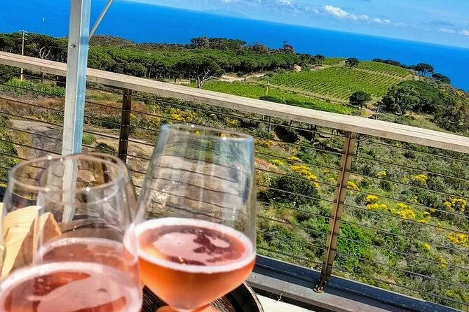 2-hour-e-bike-tour-with-wine-tasting-in-tenuta-delle-ripalte