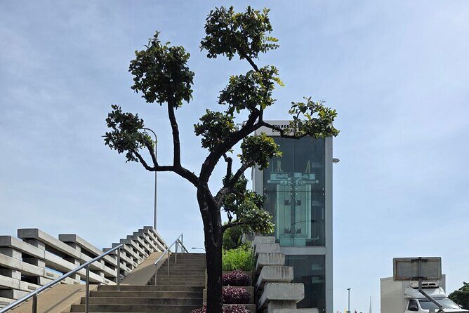 2 Hour Electric Tuk Tuk Cultural Tour of Bangkok - Authentic Experiences from Reviews