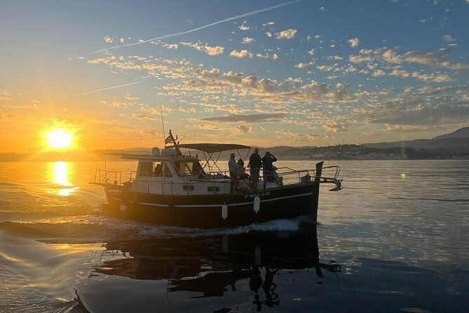 2-hour-excursion-in-search-of-dolphins-drinks-and-snacks