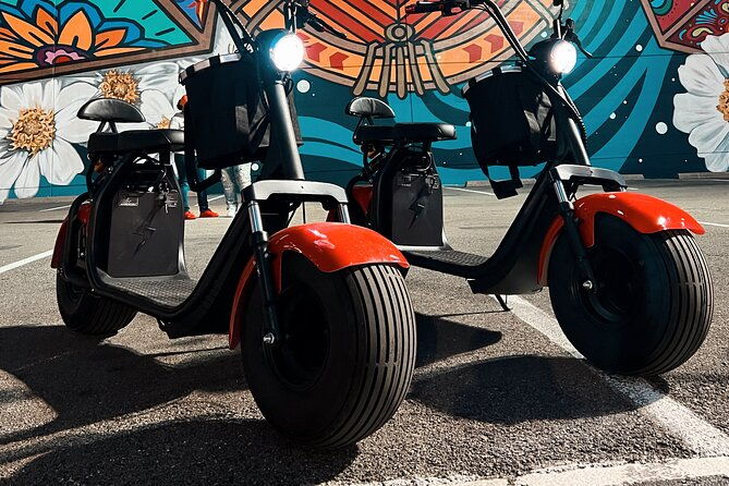 2-hour-fat-tire-scooter-rental-in-dallas