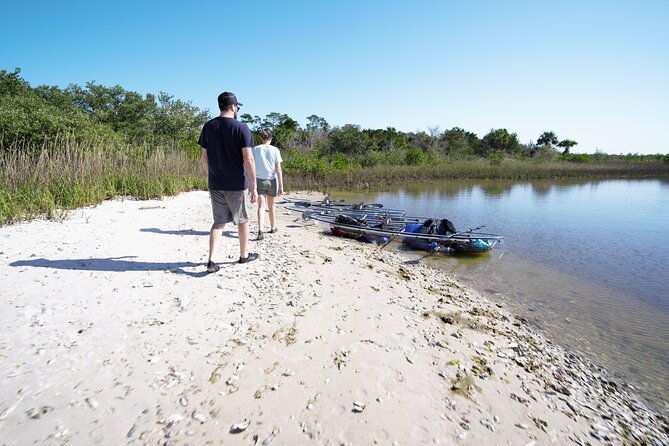2-hour-glass-bottom-guided-eco-tour-in-flagler-county-small-group