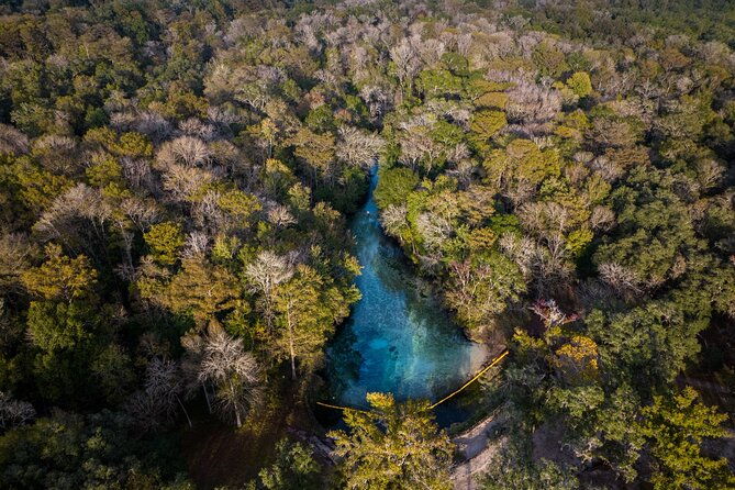 2-hour-glass-bottom-guided-kayak-eco-tour-in-gilchrist-blue