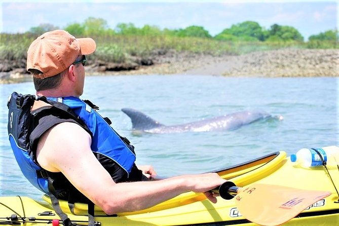 2-hour-guided-kayak-eco-tour-in-charleston