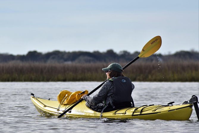 2-hour-guided-kayak-eco-tour-in-charleston