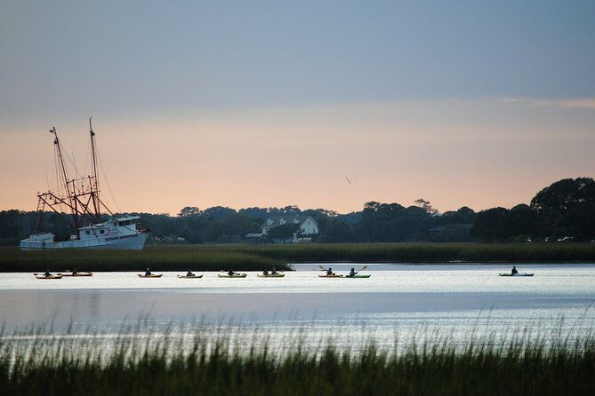 2-hour-guided-kayak-eco-tour-in-charleston