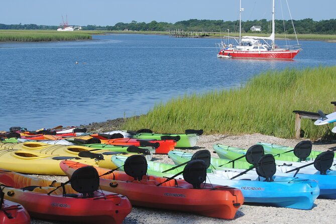 2-hour-guided-kayak-eco-tour-in-charleston