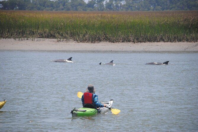2-hour-guided-kayak-eco-tour-in-charleston