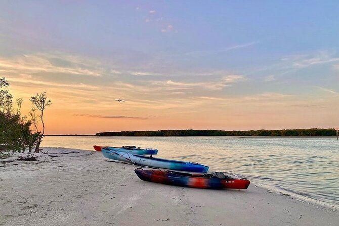 2-hour-guided-kayak-tour-in-boca-ciega-bay-st-pete-2
