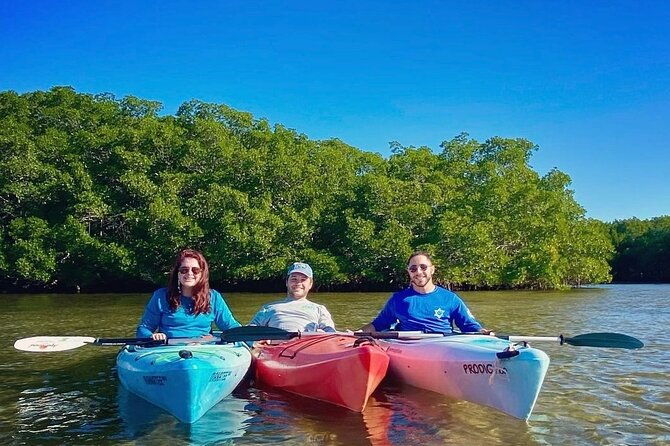 2-hour-guided-kayak-tour-in-boca-ciega-bay-st-pete