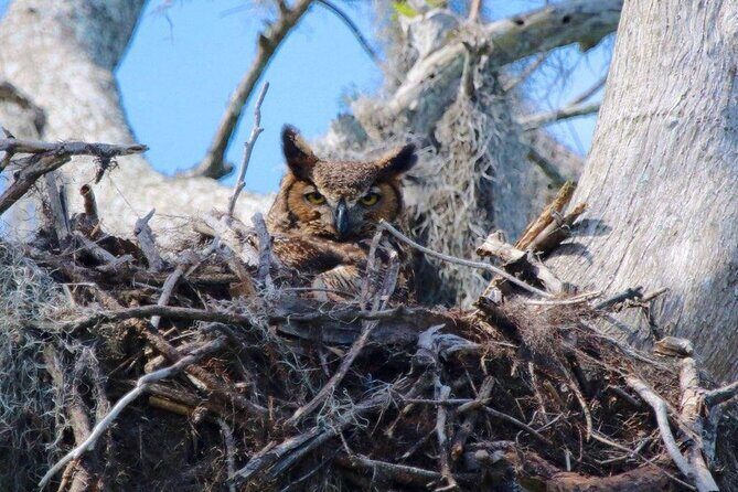 2 Hour Historical Wildlife Tour of the Chain of Lakes - Why This Tour is Worth Considering