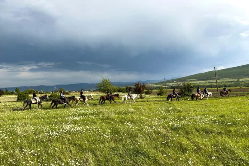 2-hour horse riding tour at Palomino Ranch Near Tbilisi - Key Points