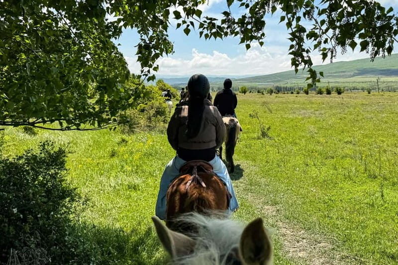 2-hour horse riding tour at Palomino Ranch - Who Should Consider This Tour