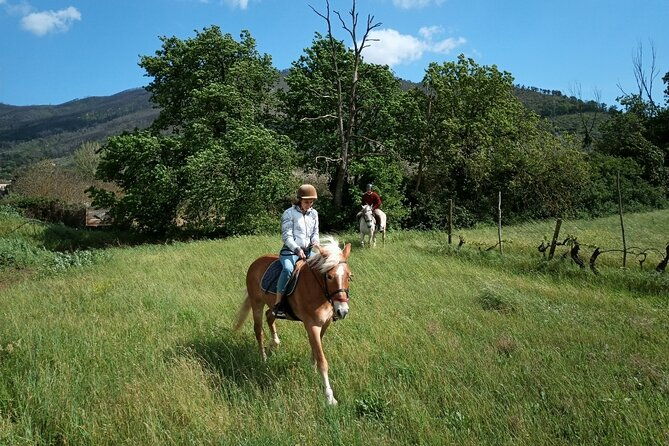 2-hour-horseback-ride-for-experts-in-valgraziosa-pisa