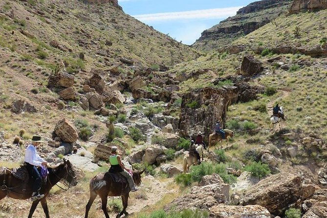 2-hour-horseback-riding-through-red-rock-canyon