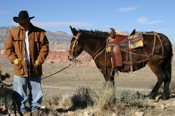 2-hour-horseback-riding-through-red-rock-canyon