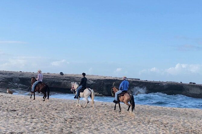 2-hour-horseback-riding-tour-to-little-natural-bridge-in-aruba
