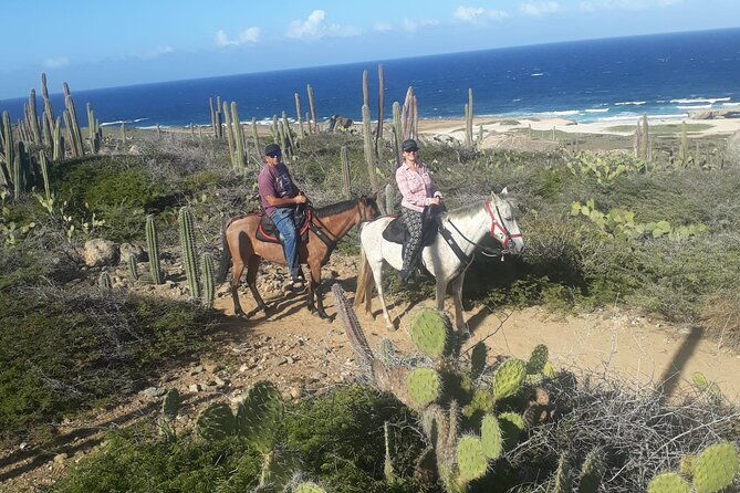 2-hour-horseback-riding-tour-to-little-natural-bridge-in-aruba