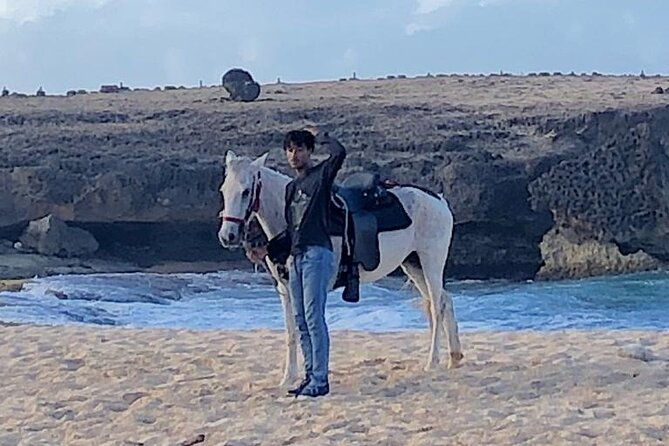 2-hour-horseback-riding-tour-to-little-natural-bridge-in-aruba
