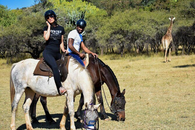 2-Hour Horseback Safari in Hartbeespoort - Introduction