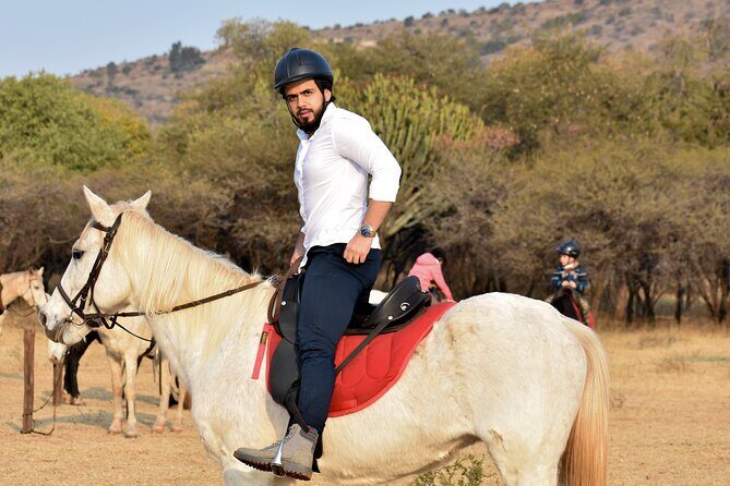2-Hour Horseback Safari in Hartbeespoort - Key Points
